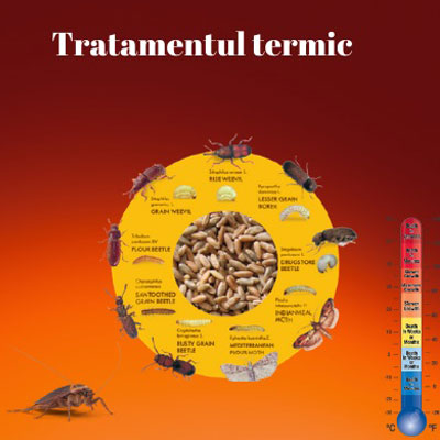 Tratamentul termic- o nouă metodă ecologică, non-toxică
